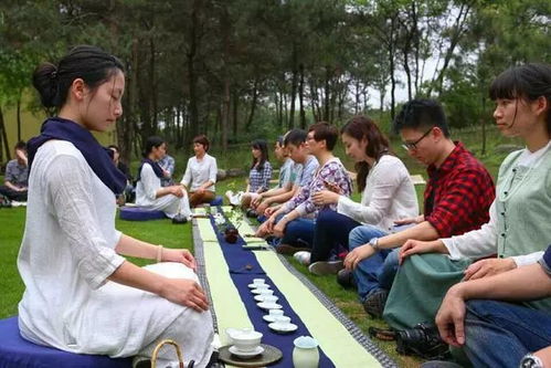 99元暢玩海洋公園 場地與設施的創(chuàng)新經(jīng)營之道