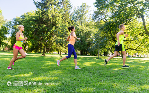 夏季公園馬拉松 運動、健康與快樂的交匯點